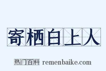 寄栖白上人是什么意思的图片